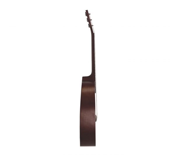SOUNDSATION Grand Teton DN-NT Side