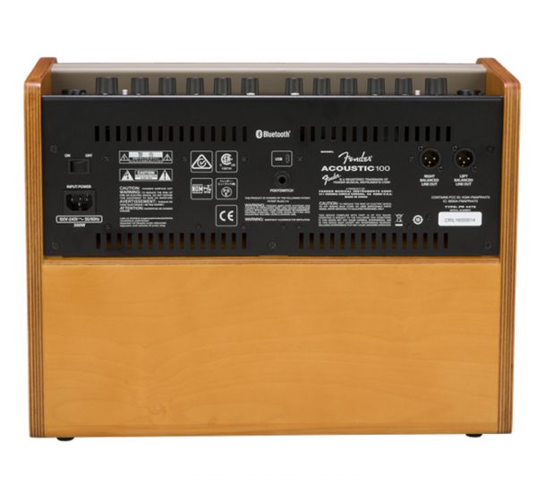 Fender Acoustic 100 Back