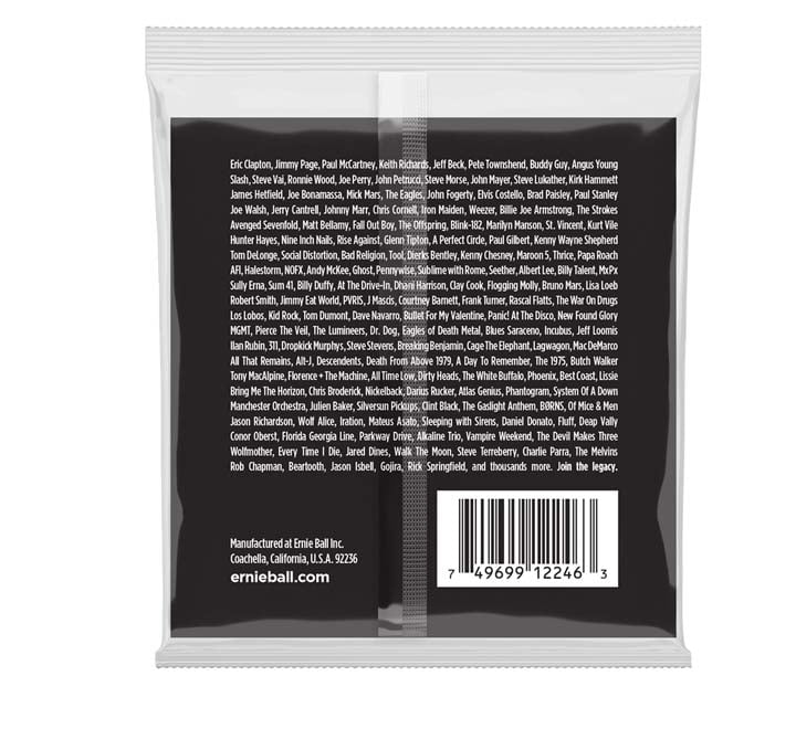 Ernie Ball 2246 Regular Slinky Stainless Steel Back