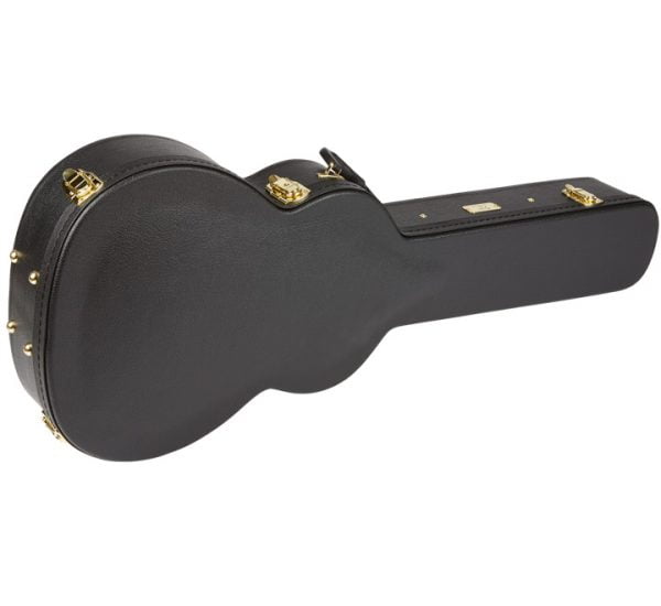 Fender PM-3CE Natural Case