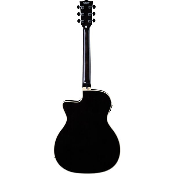 EKO NXT A100CE See Through Black Back