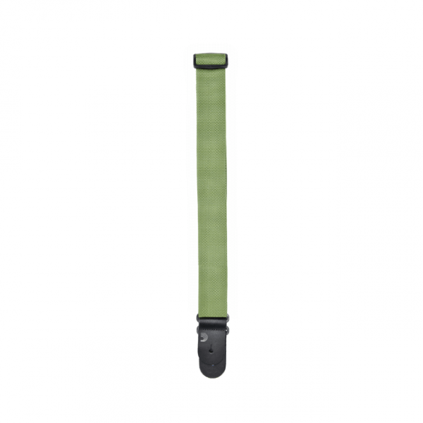 D'Addario PWS107 Polypropylene Strap Green - immagine 2