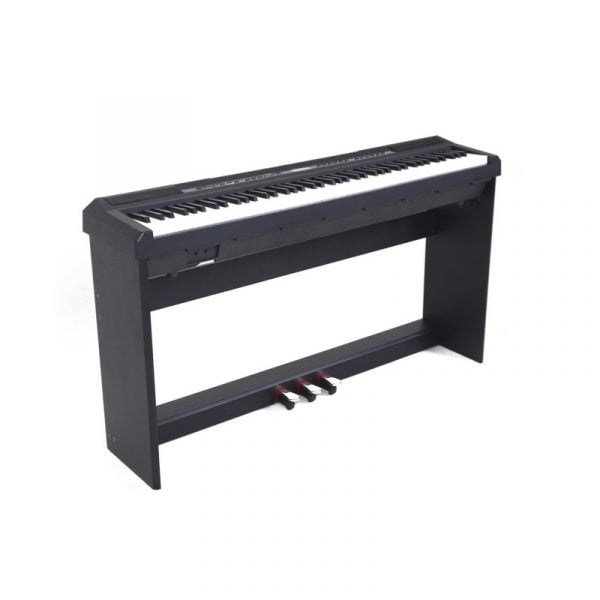 ECHORD WS10 Black