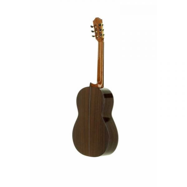 Josè Torres JTC-50 - immagine 3