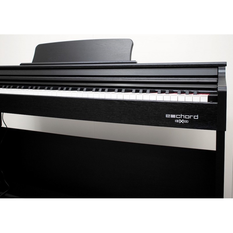 ECHORD DPX-1000B - immagine 4