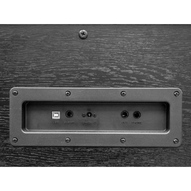 ECHORD DPX-1000B - immagine 6