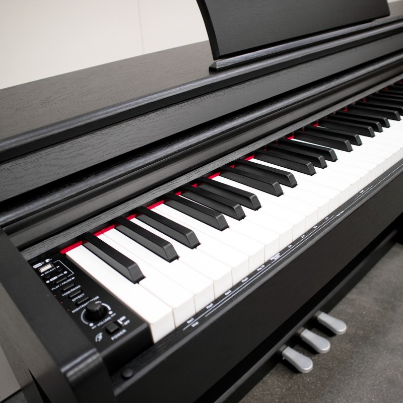 ECHORD DPX-1000B - immagine 3