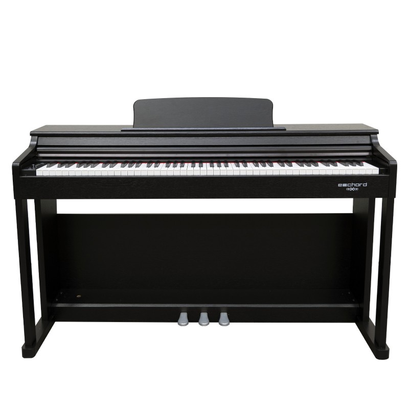 ECHORD DPX-1000B