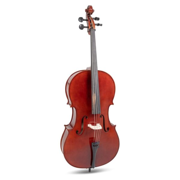 Gewa Set Violoncello 4/4 HW - immagine 2