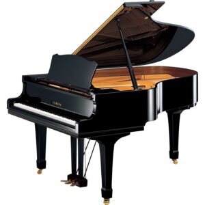 Pianoforti Acustici