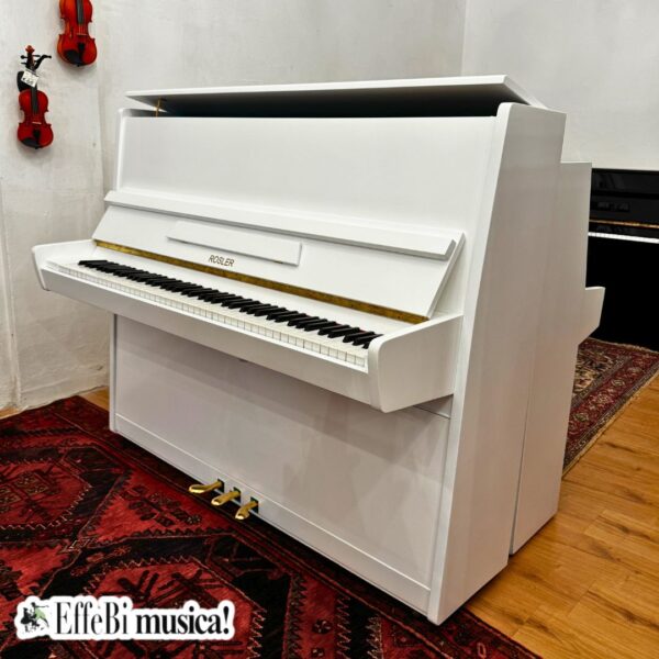 Rosler 120 - USATO - immagine 2