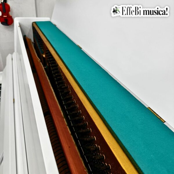 Rosler 120 - USATO - immagine 4
