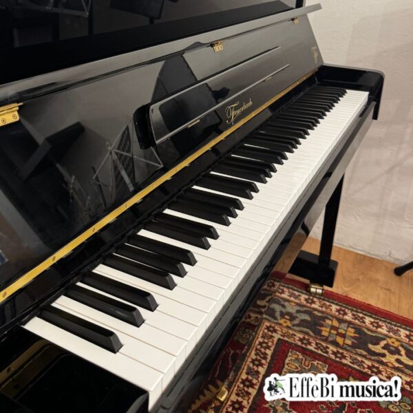 Feuerbach H115 - USATO - immagine 2