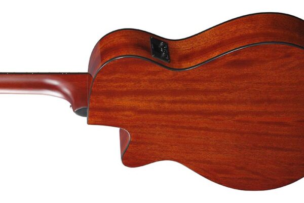 Ibanez AEG50-IBH - immagine 5