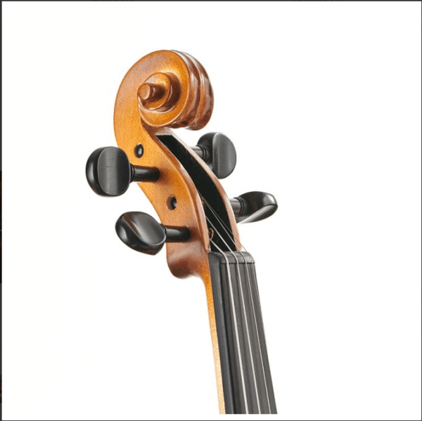 Stentor Graduate Violin Outfit 4/4 NP - immagine 3