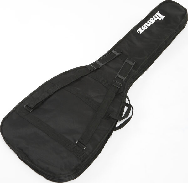 Ibanez IGB101 - immagine 2
