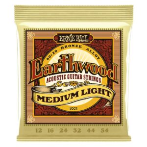 Ernie Ball 2003 Earthwood 80/20 Bronze Light 12-54