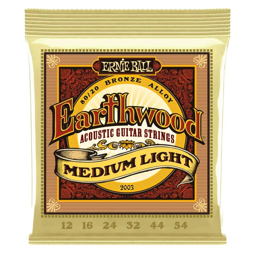 Ernie Ball 2003 Earthwood 80/20 Bronze Light 12-54