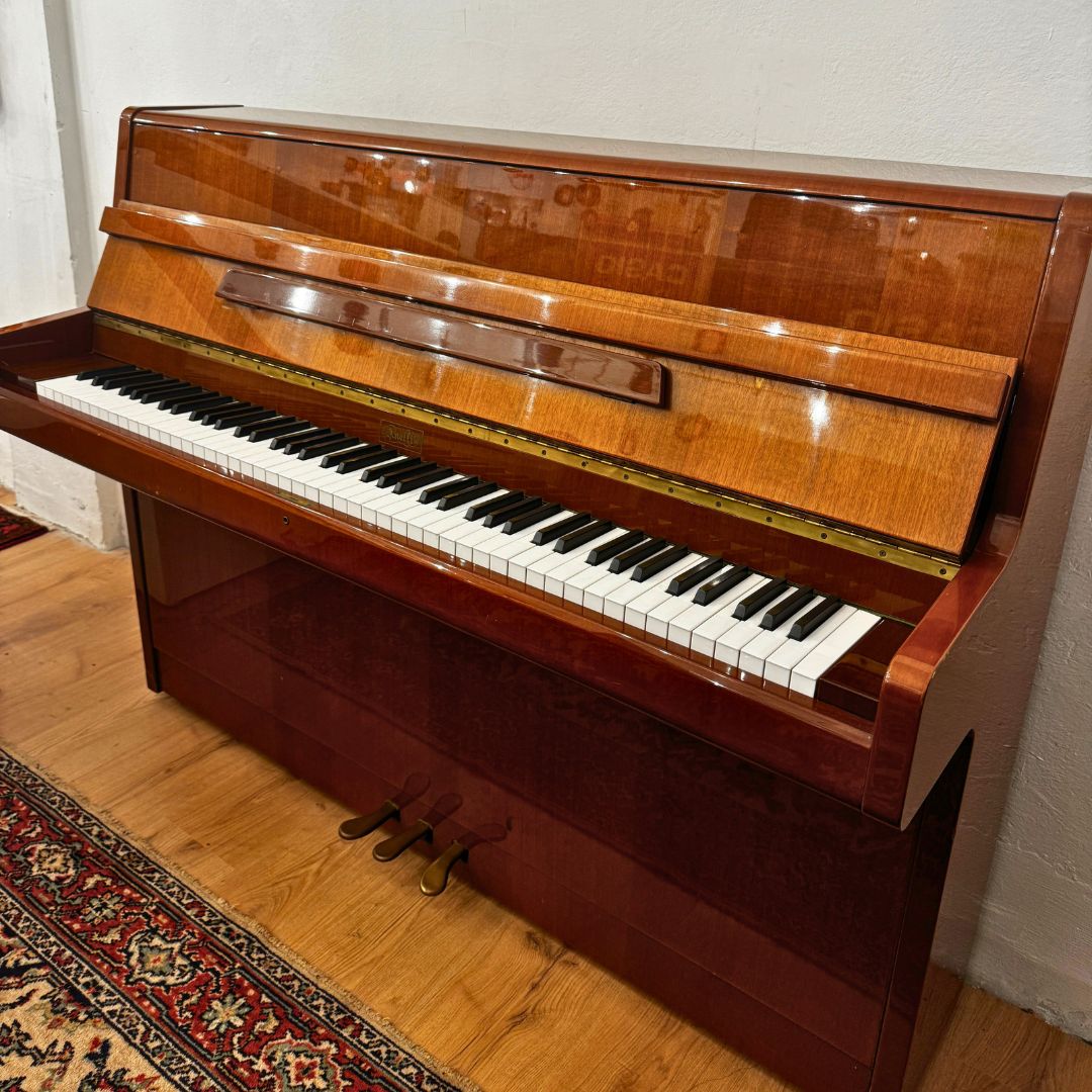 Anelli H110 - USATO