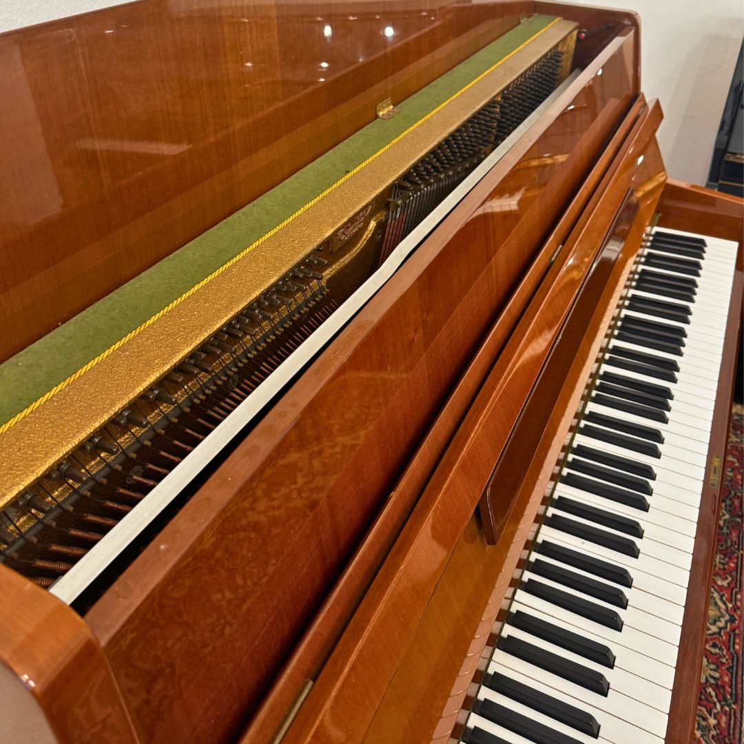 Anelli H110 - USATO - immagine 2