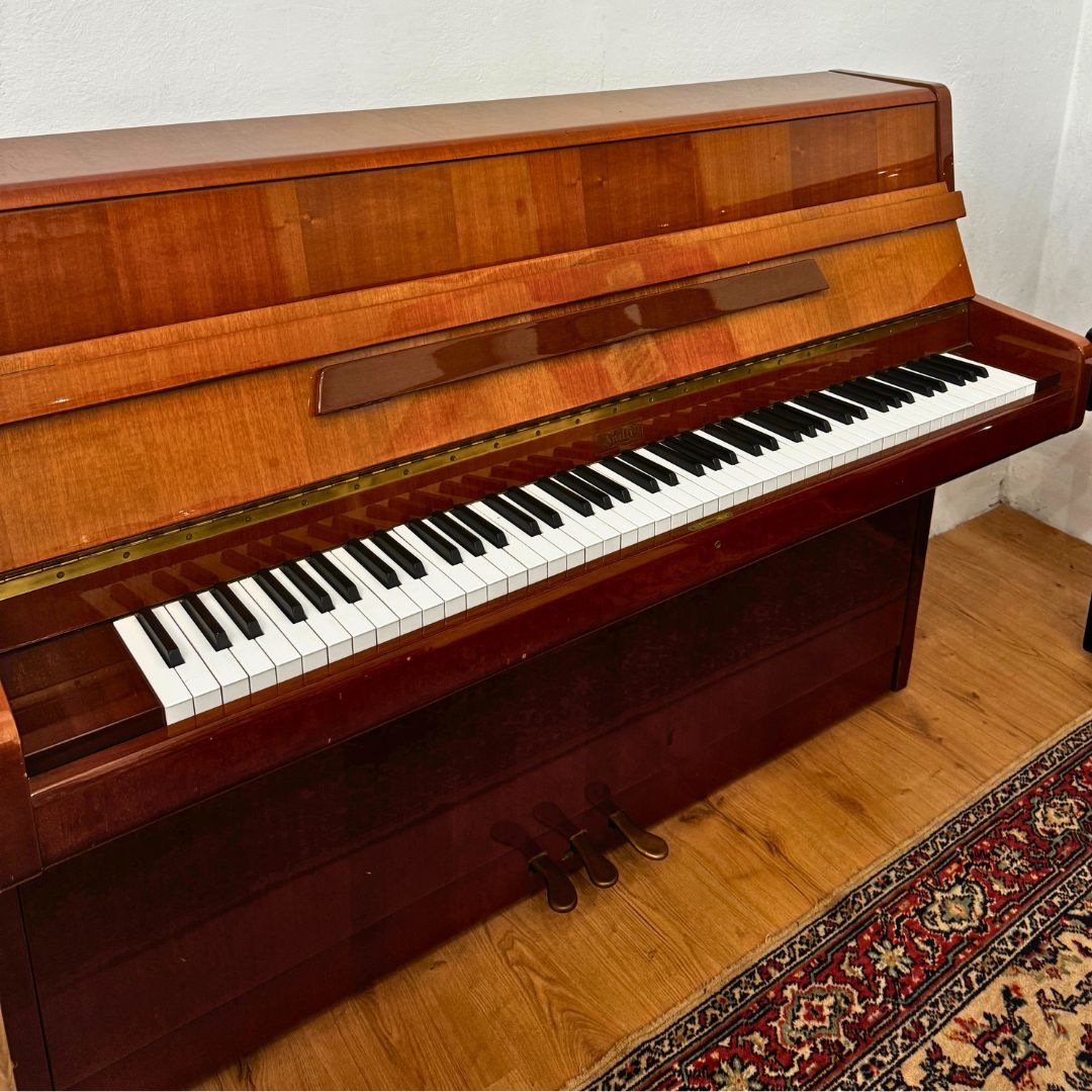 Anelli H110 - USATO - immagine 3